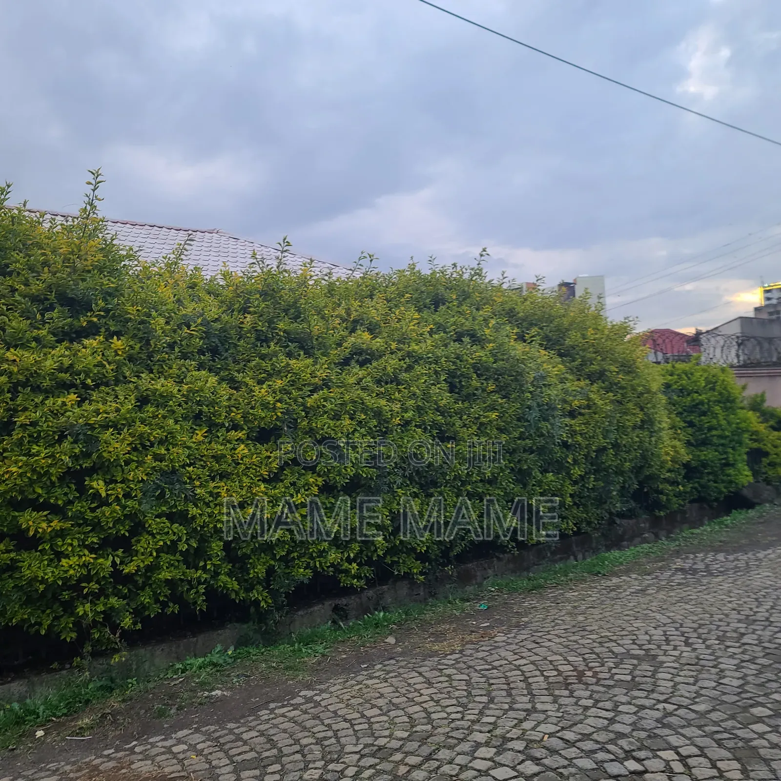 5bdrm Villa in Addis Abeba, Bole for sale