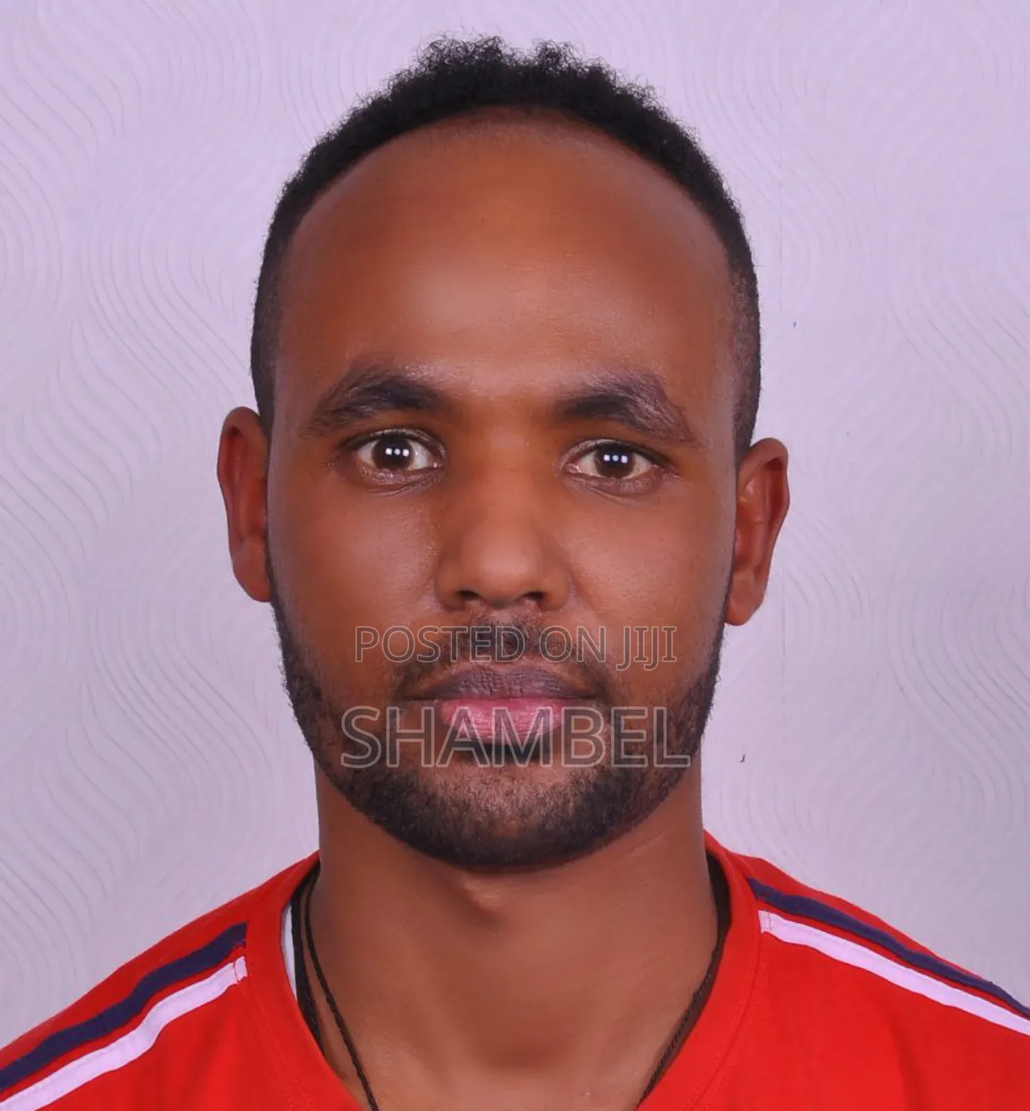 ህዝብ አንድ መንጃ ፈቃድ
