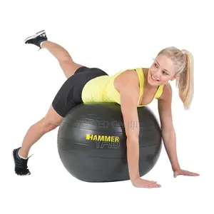 Stability Ball ( Gym )