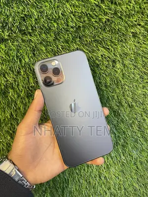Apple iPhone 12 Pro Max 128 GB Gray