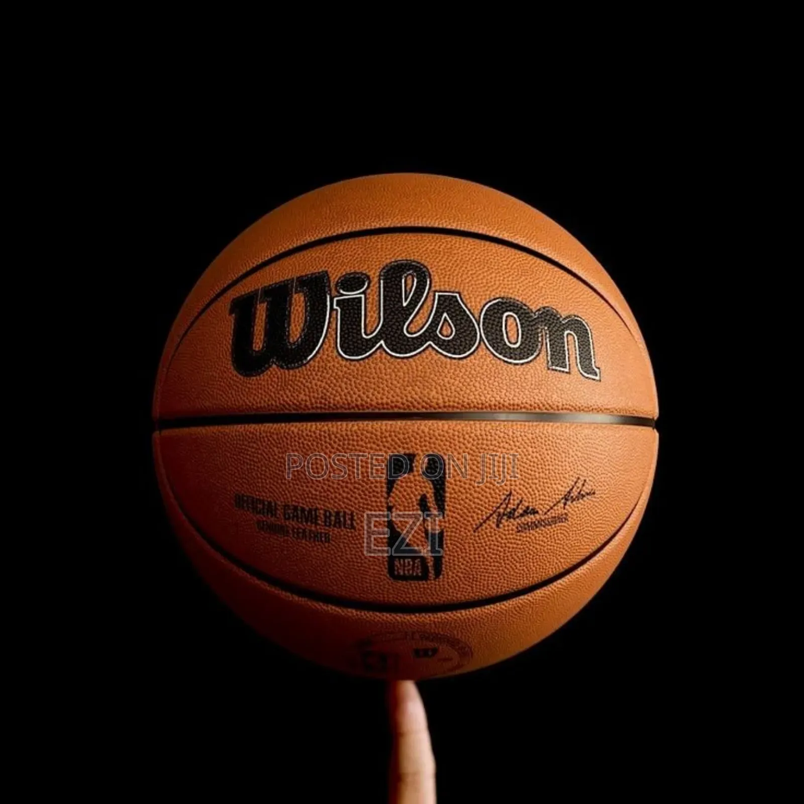 Wilson Nba Basketball