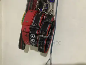 Metal Buckled Dog Collar and Leash