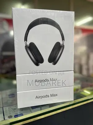 Black Apple Max Headset