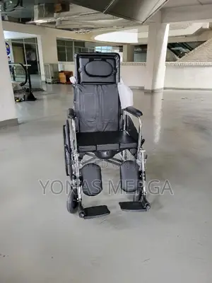 Level Adjustable, Transport Wheelchair፮∞Wheelchair፪a Wilcher