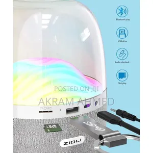 ZIDLI Mini Speaker