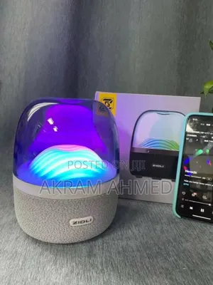 ZIDLI Mini Speaker