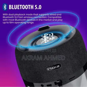 ZIDLI Mini Speaker