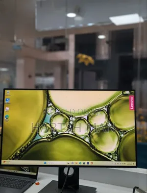 Dell Monitor