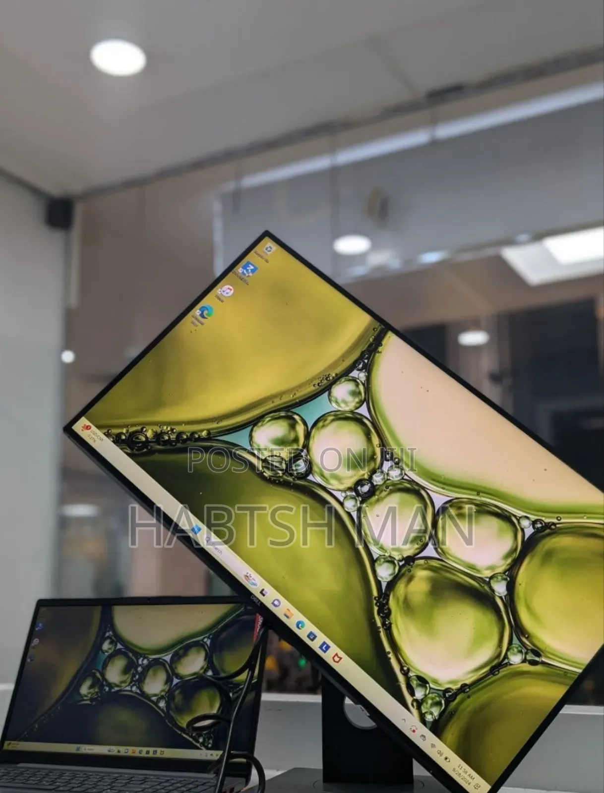 Dell Monitor