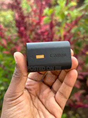 Canon Lp-E6nh Lithium-Ion Battery (7.2v, 2130mah)