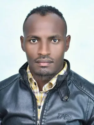 Civil Engineer