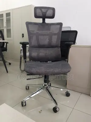 Ergonomics Chairs