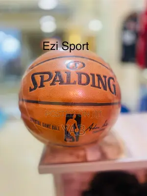 Spalding Official Gameball