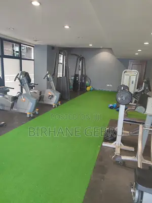 Furnished 3bdrm Apartment in 3Bedroom Luxury, Bole for rent