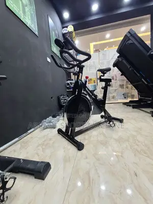 Reebok Manual Exercise Bike