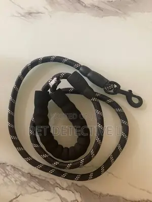 Dog Leash for Ur Dog