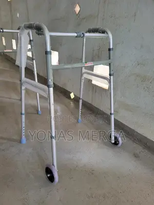 AMMINO INDIA WHEEL WALKER/Walker /Better Results.Asmofit