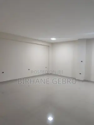 Luxury Apartment for Office Rent