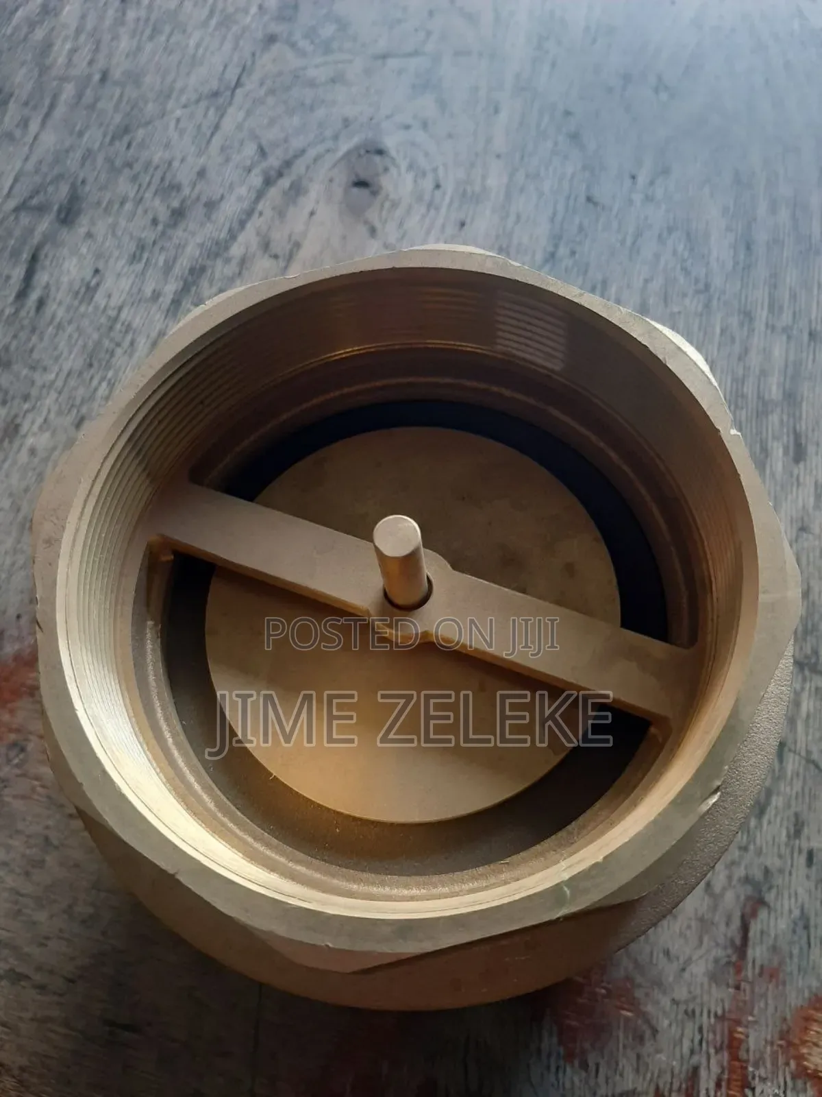 Check Valve