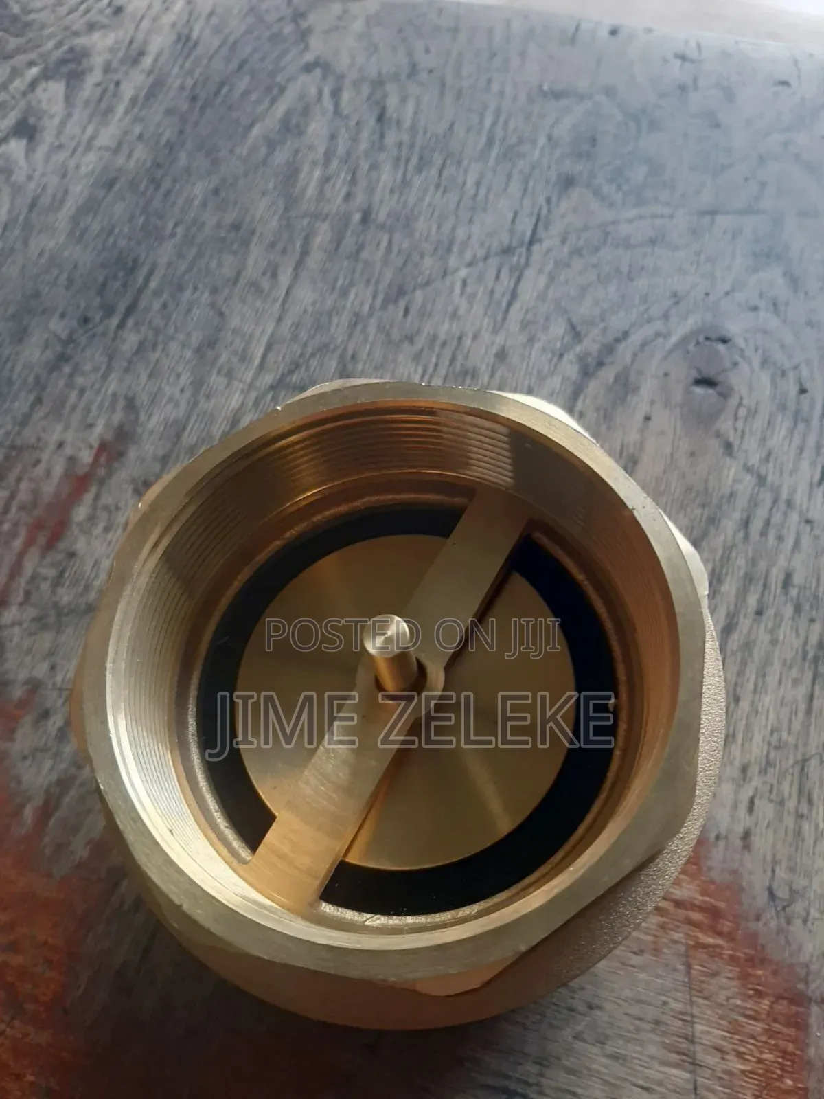 Check Valve