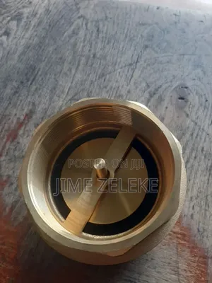 Check Valve