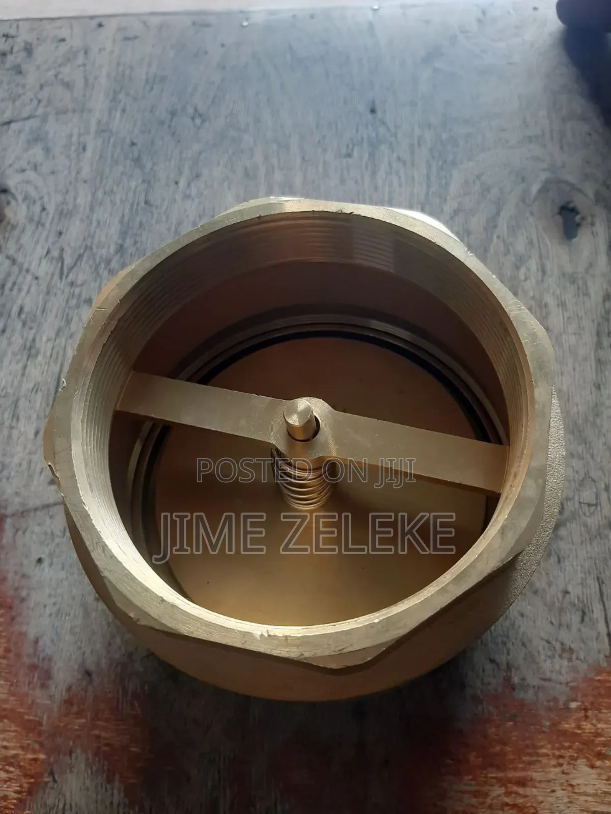 Check Valve