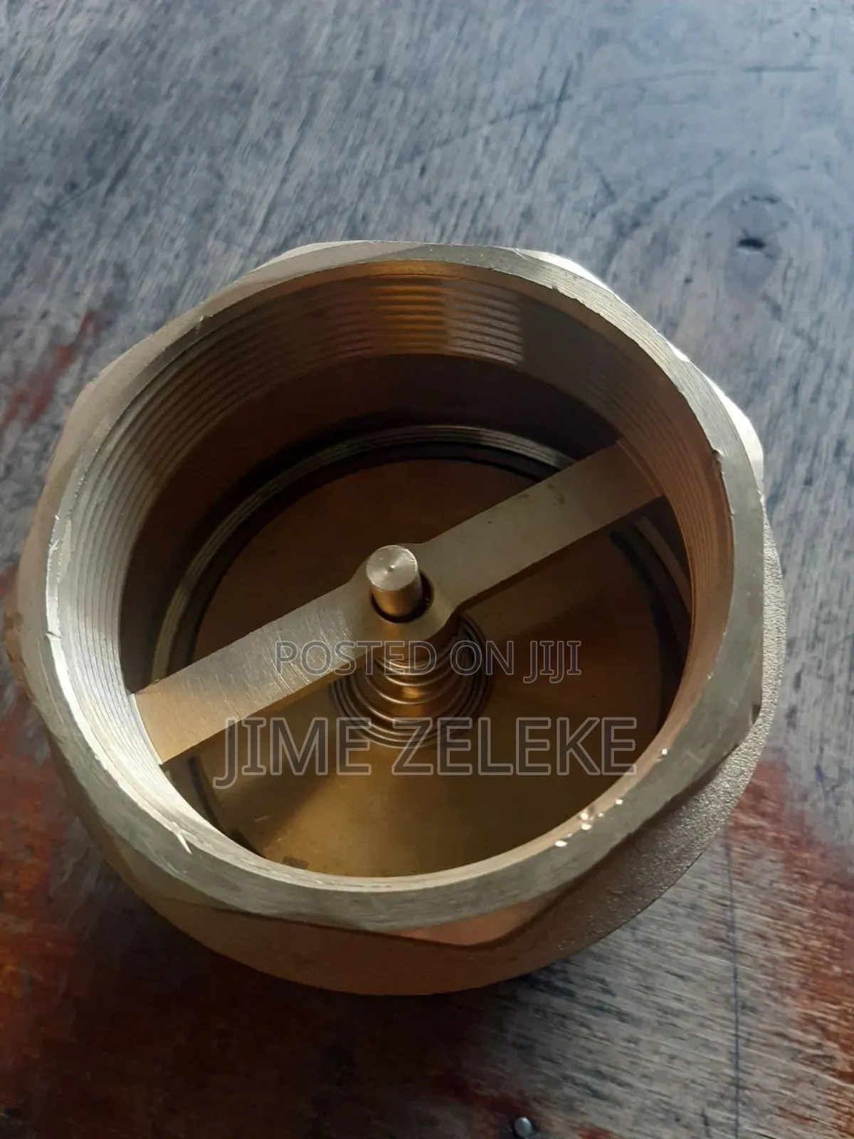 Check Valve
