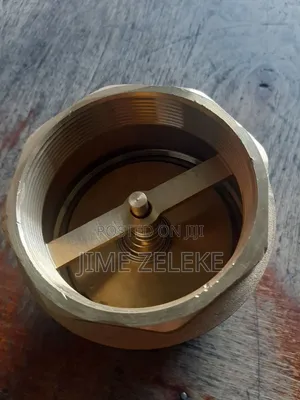 Check Valve