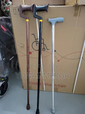 Walking Stick