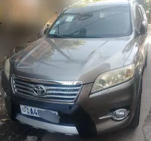 Toyota RAV4 2011 Gray