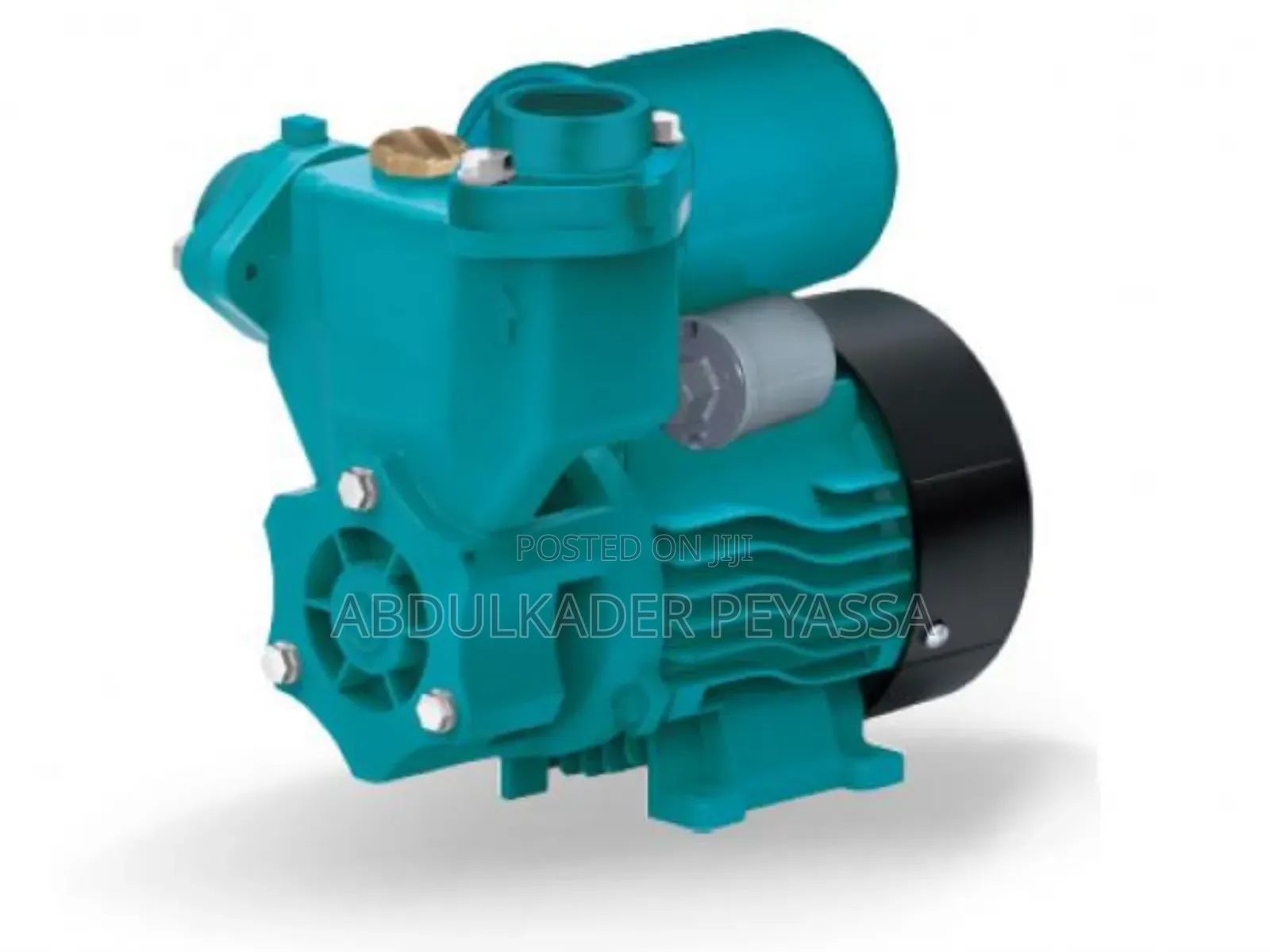 Leo Automatic Pump 1hp