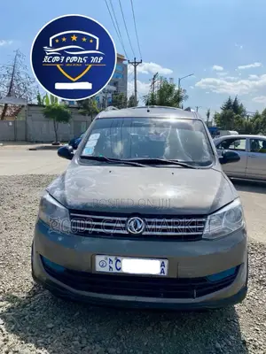 Dongfeng Glory 2020 Gray