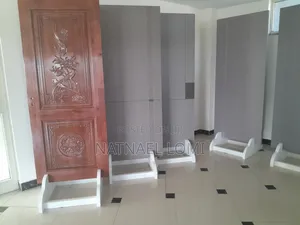 Carbon Fiber Door