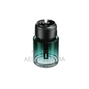 Car and Home Fragrance Air Diffuser