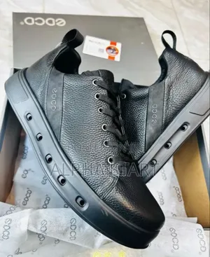 Ecco Master Quality Shose for You