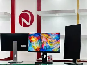 Dell Monitor 24 Inch