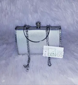 Elegant Silver Clutch Purse With Chain Strap Saar Signature