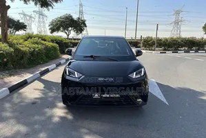 New BYD Seagull 2024 Black