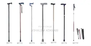Walking Stick
