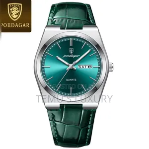 POEDAGAR Luxury Quartz Mens Wristwatch Waterproof Watch Man