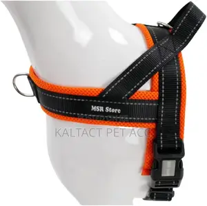 Chest Strap