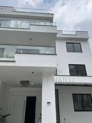 Furnished 10bdrm House in Bole for rent