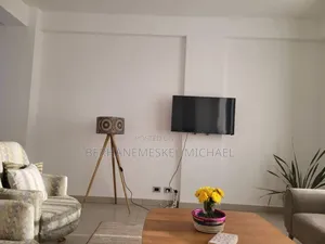 Furnished 3bdrm Apartment in Bole for rent