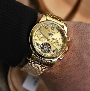 Tevise Men's Automatic Luxury Watched