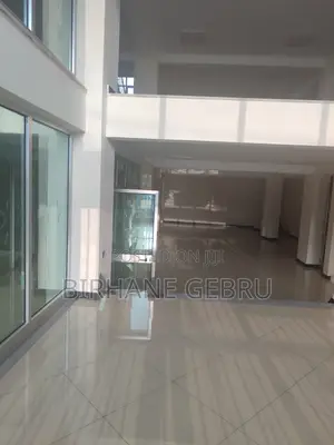 Luxury Apartiment Rent for Office Ngo and Other