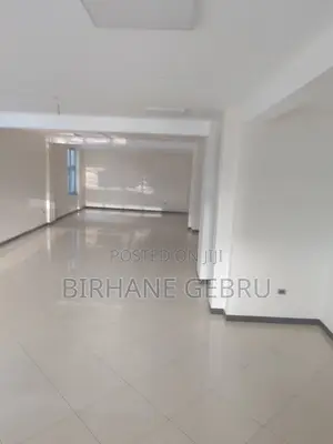 Luxury Apartiment Rent for Office Ngo and Other