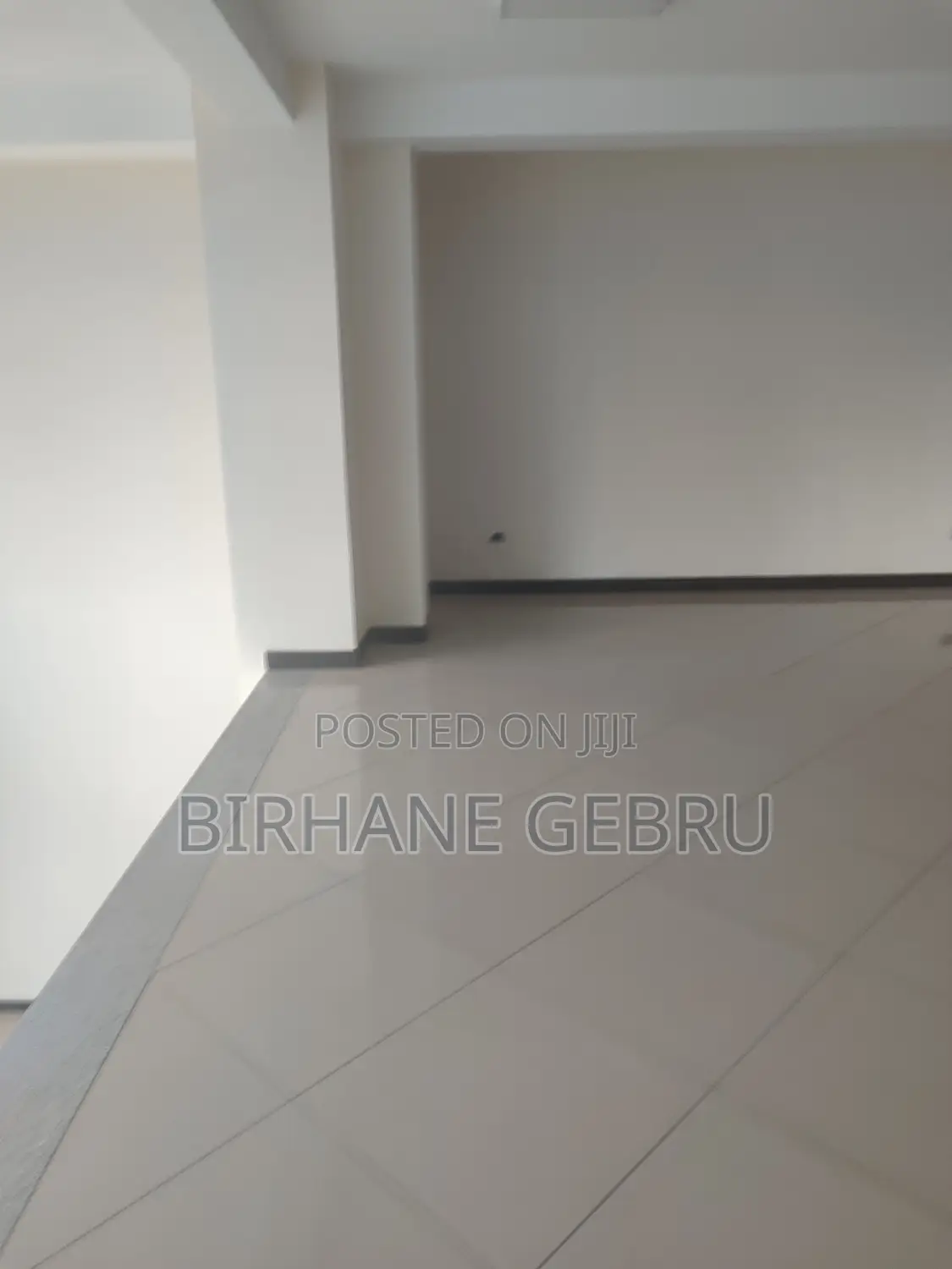 Luxury Apartiment Rent for Office or Business