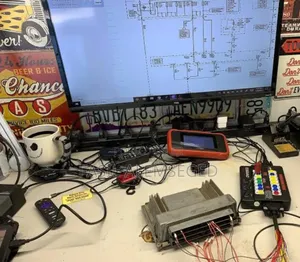 ,Ecm Cloning,Coding and Programming