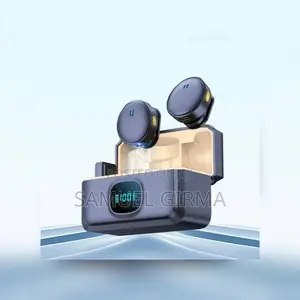 Dual Wireless Microphone