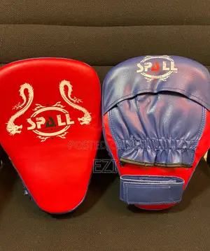 Professional Boxer Mit